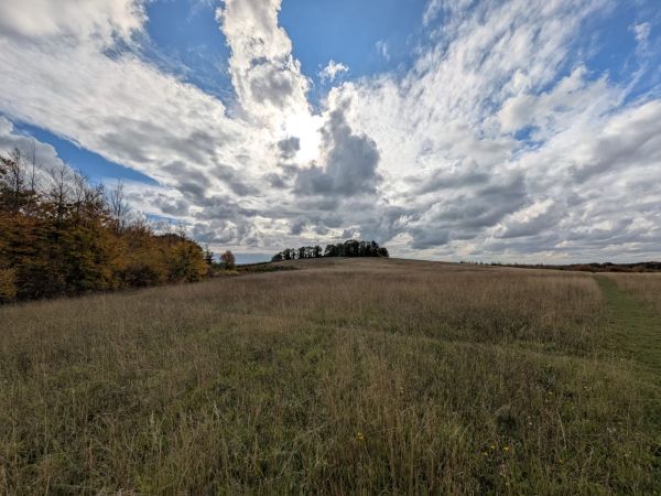 Magog Down